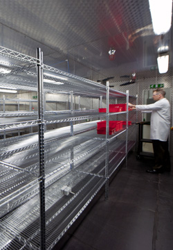 Environmental Chamber Services