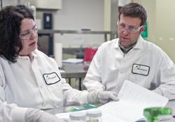 Antimicrobial Effectiveness Testing