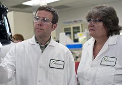 Microbial Limits Testing